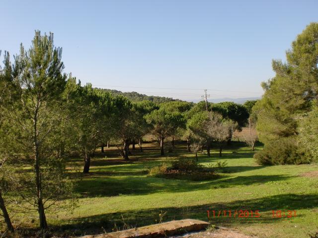 Puig Gros Hotel Mont-ras  Exterior foto