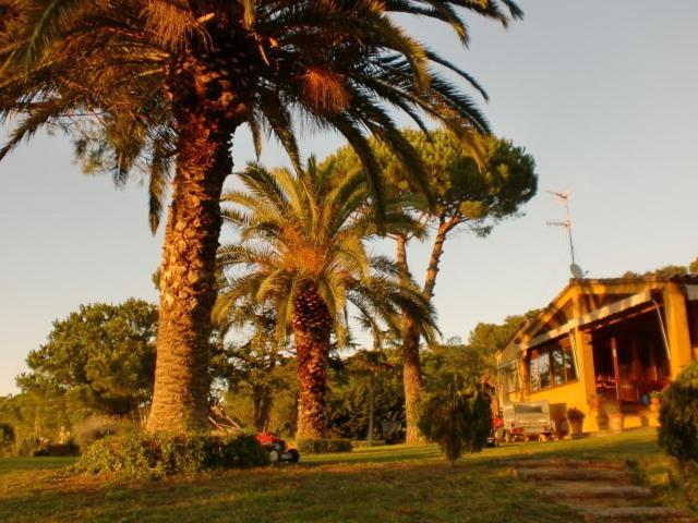 Puig Gros Hotel Mont-ras  Exterior foto
